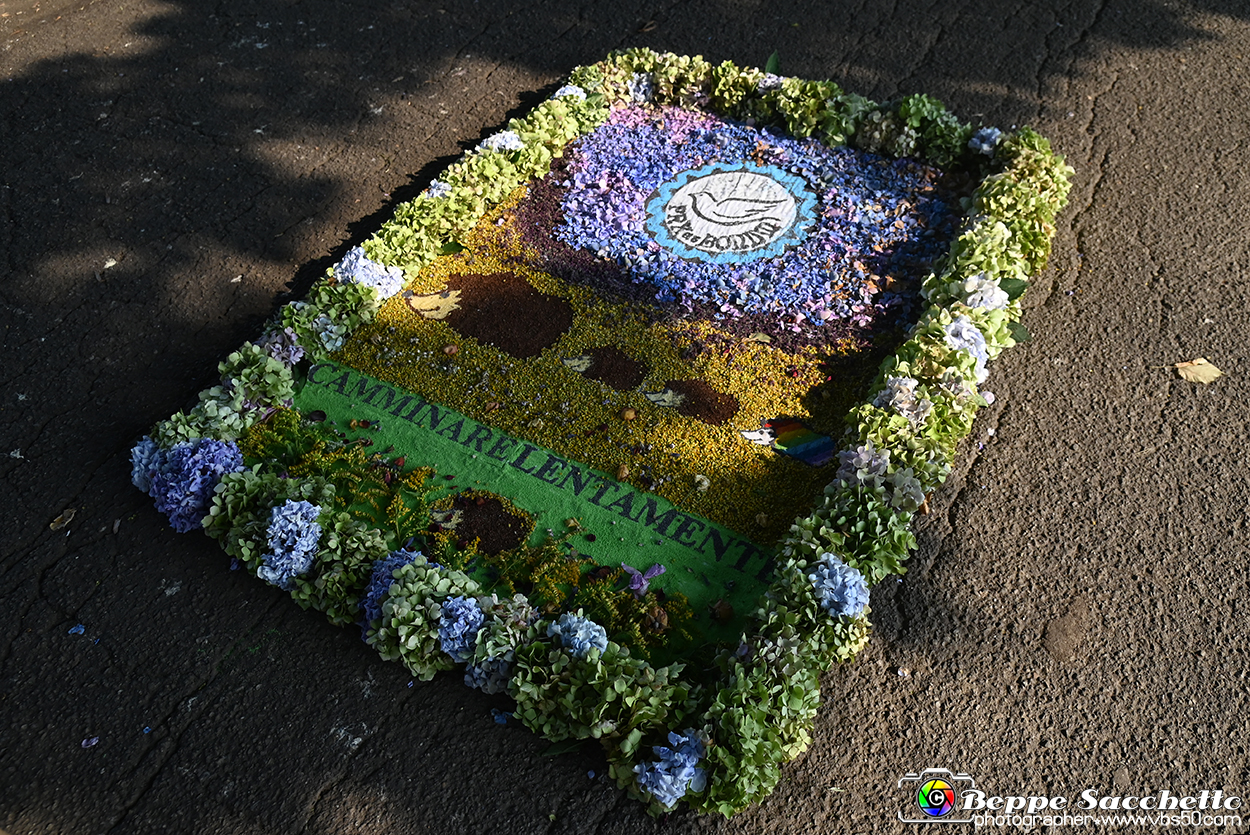 VBS_9835 - Infiorata Santuario della Madonnina di Villanova d'Asti 2024.jpg